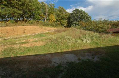 602 Grace Chapel Road Irvine, KY 40336 - Photo 7 of 7 Private road into the property.