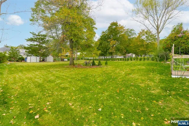 a view of a park with large trees