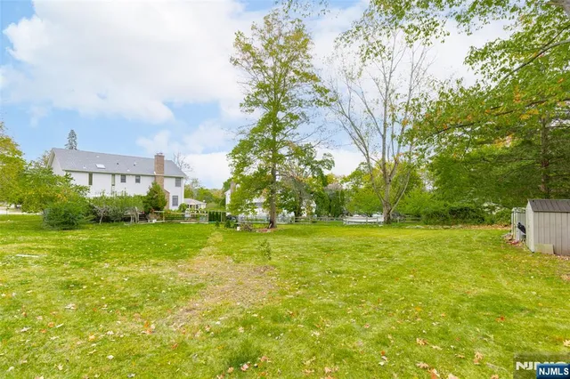 a backyard of a house with plants and large trees