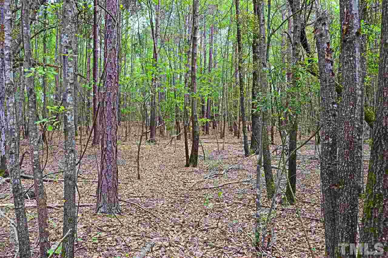 Tbd Rosehaven Road, Unit MORVEN NC Morven, NC 28119 - Photo 14 of 29