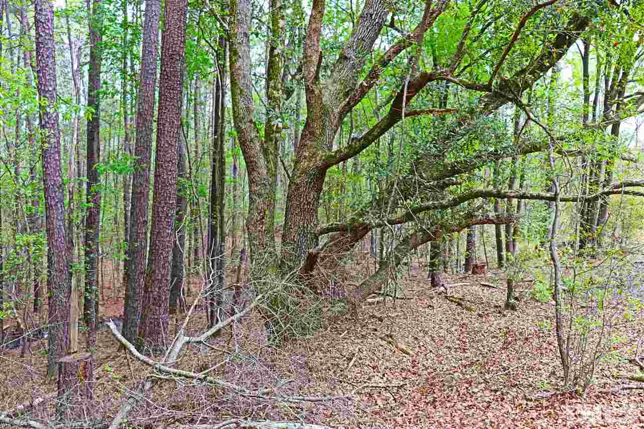 Tbd Rosehaven Road, Unit MORVEN NC Morven, NC 28119 - Photo 22 of 29