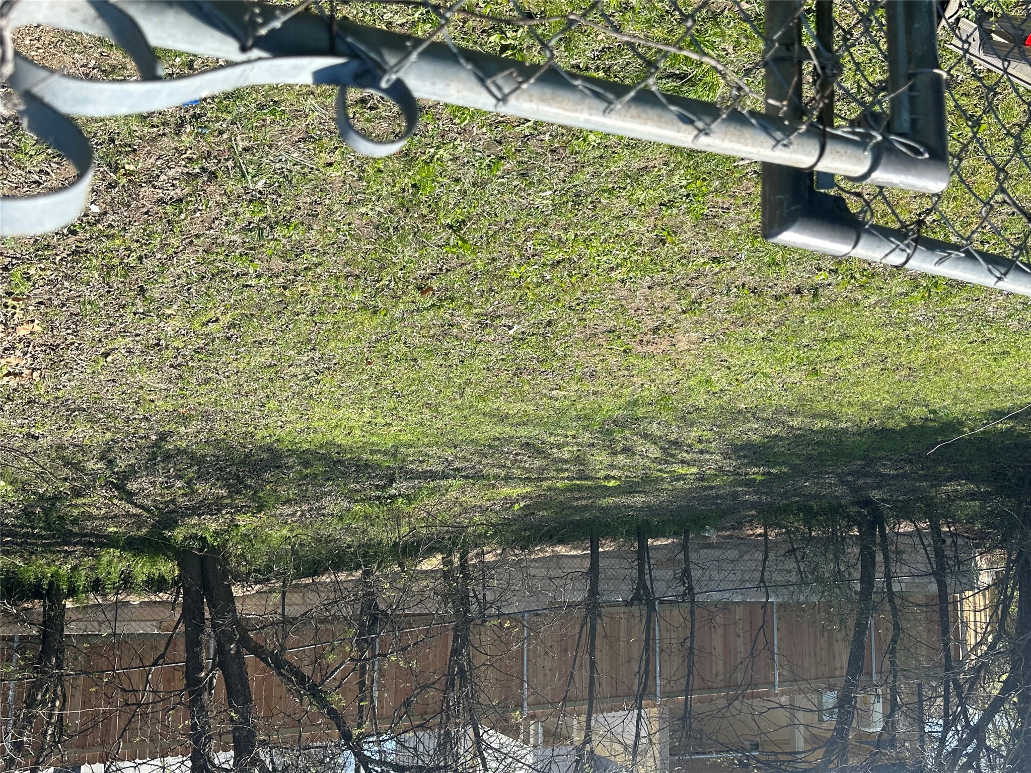 5003 Heflin Lane Austin, TX 78721 - Photo 6 of 9 a backyard of a house with lots of green space