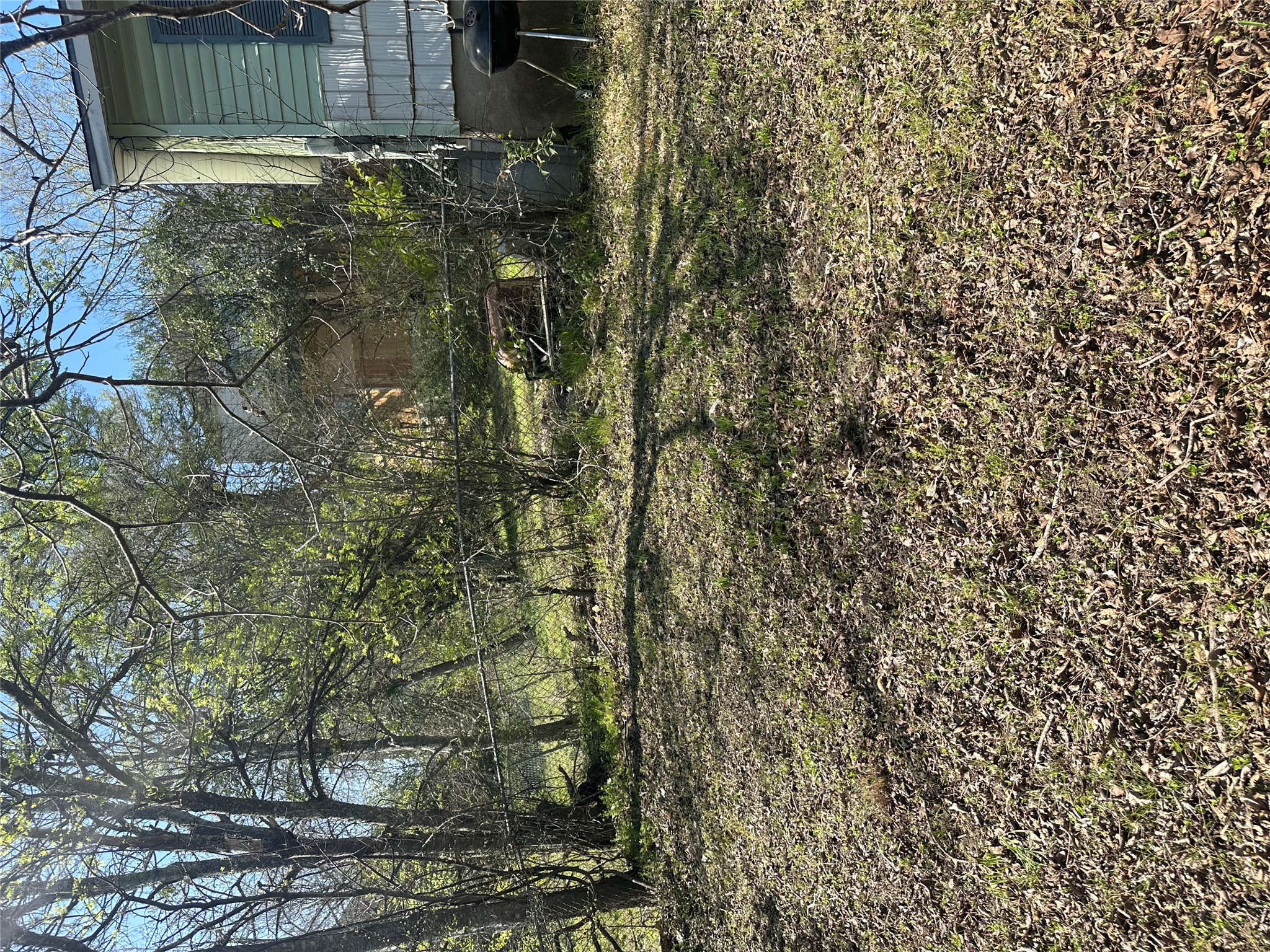 5003 Heflin Lane Austin, TX 78721 - Photo 8 of 9 a view of a yard with a tree