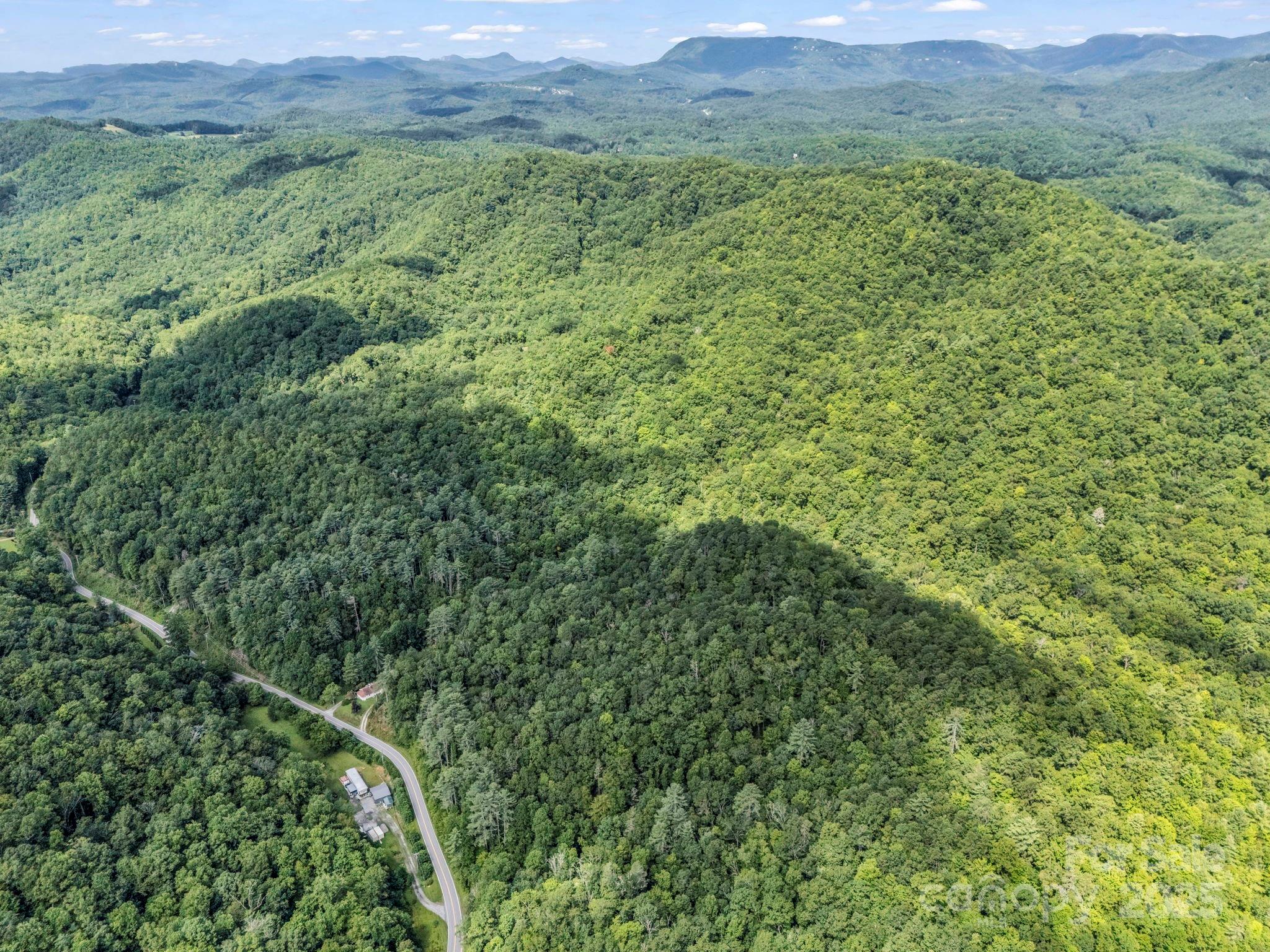 Tbd Frozen Creek Road Brevard, NC 28712 - Photo 15 of 30 a view of a lush green forest with lush green forest