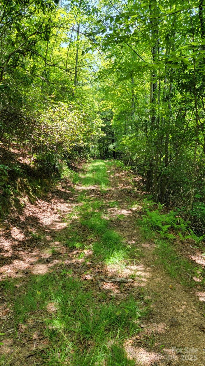 Tbd Frozen Creek Road Brevard, NC 28712 - Photo 24 of 30 a view of yard with green space