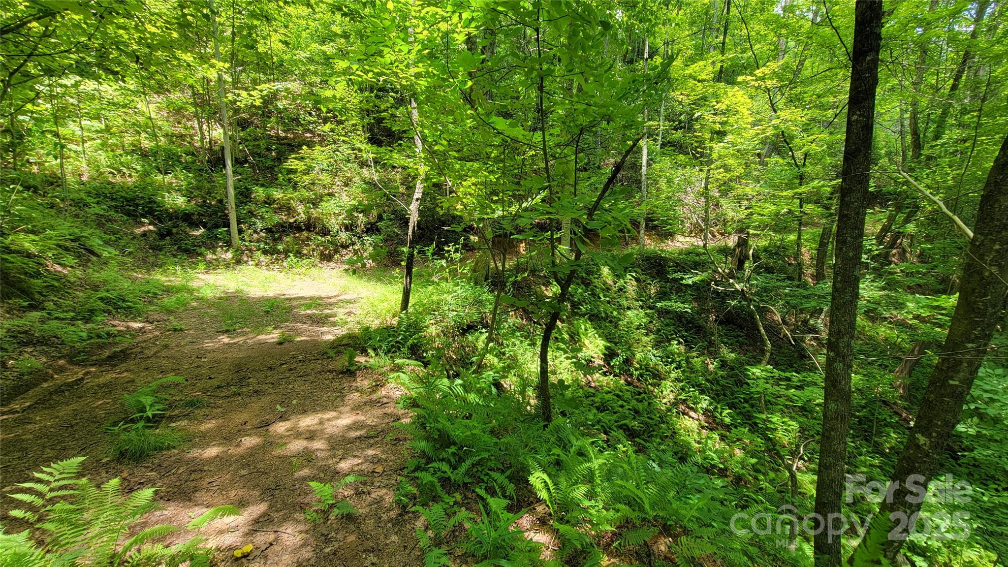 Tbd Frozen Creek Road Brevard, NC 28712 - Photo 28 of 30 a view of a yard