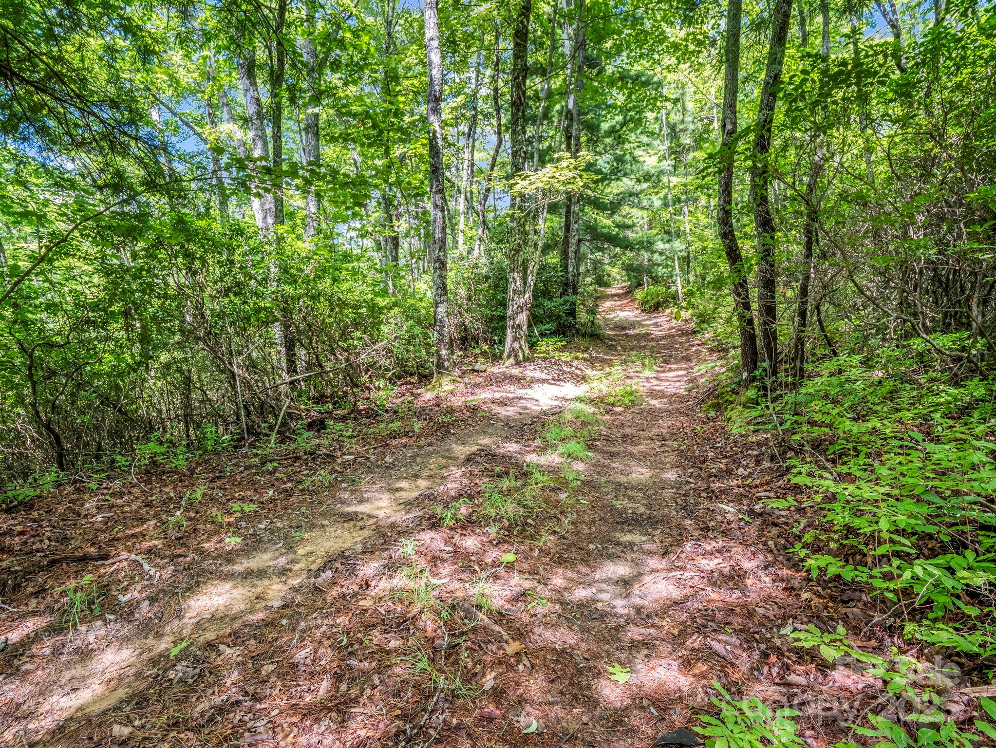 Tbd Frozen Creek Road Brevard, NC 28712 - Photo 6 of 30 a backyard of a house with lots of green space and forest