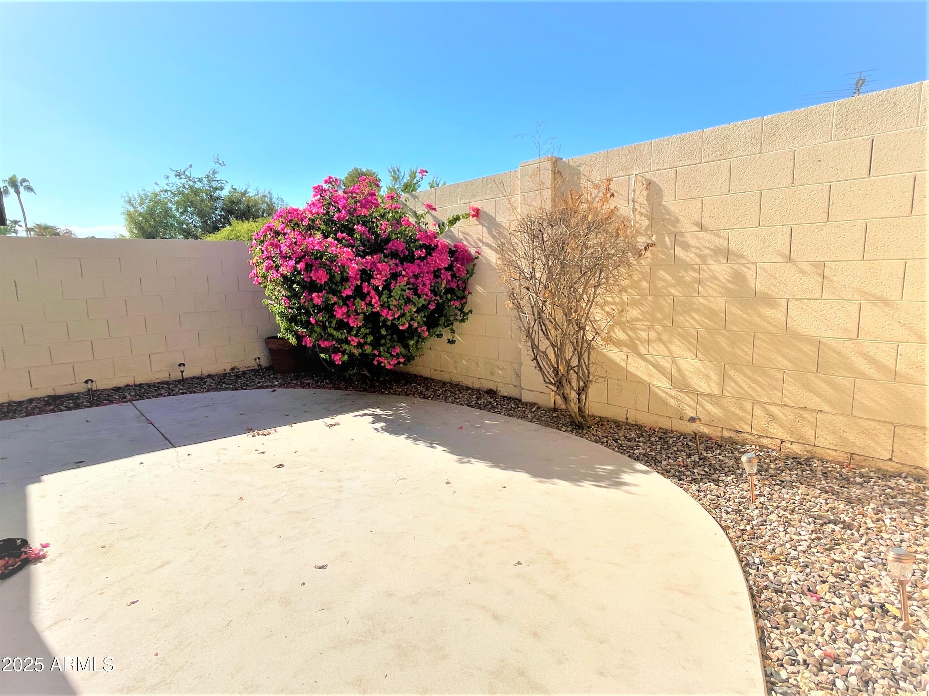 8 West Griswold Road Phoenix, AZ 85021 - Photo 20 of 22 a view of a bunch of flowers