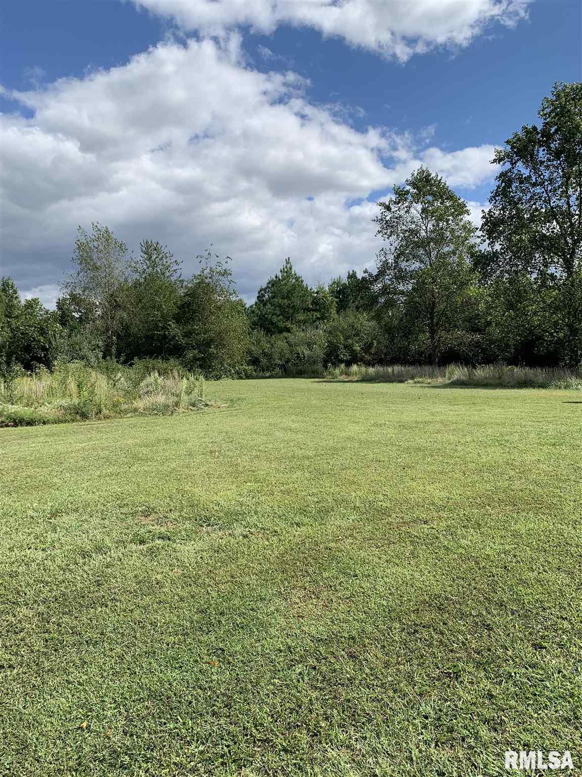 1745 North Reed Station Road Carbondale, IL 62901 - Photo 22 of 24