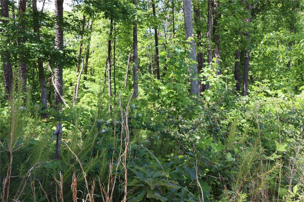 0 Parksbrook Road Ellijay, GA 30540 - Photo 27 of 67