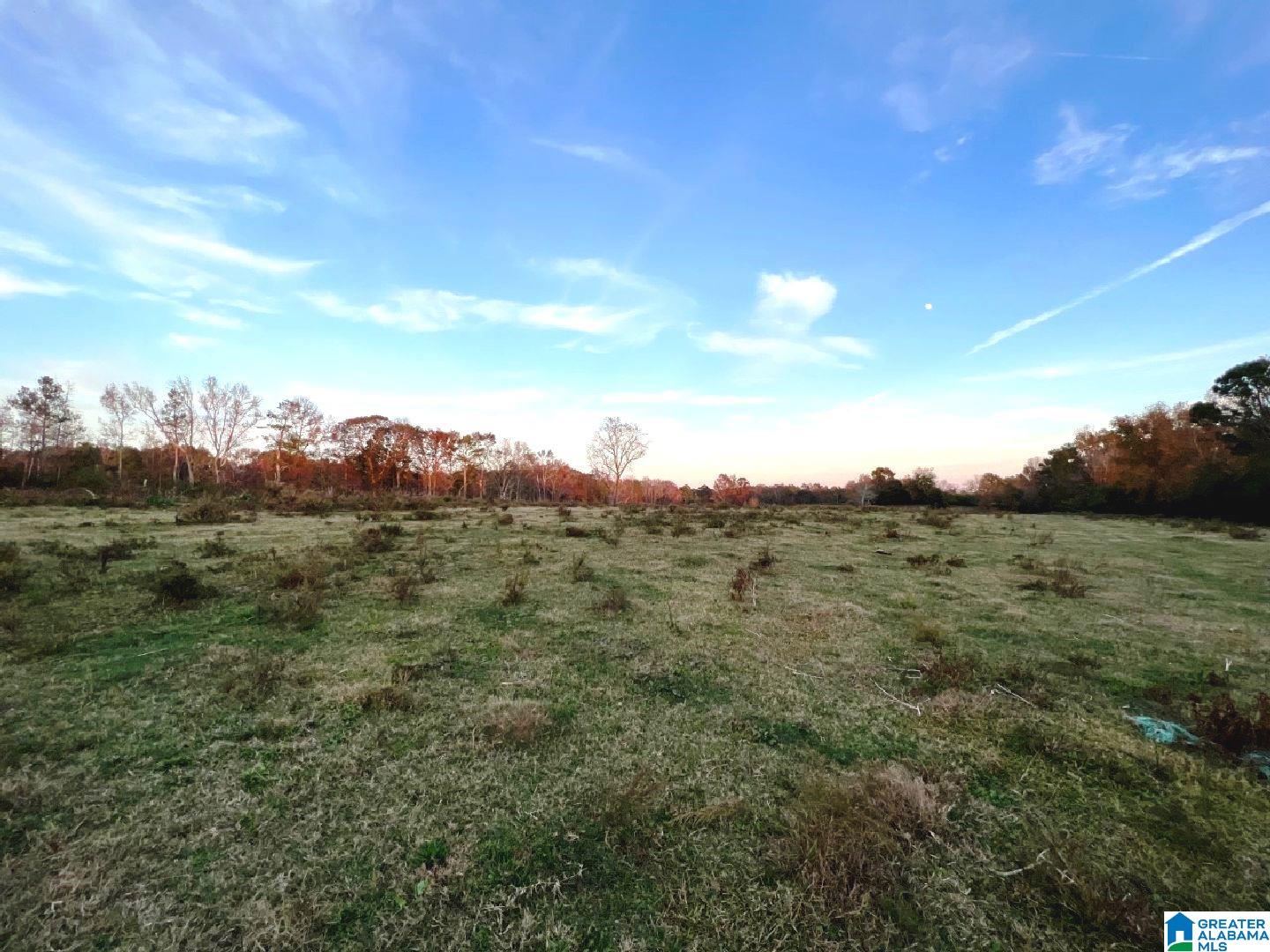 Mcvey Road, Unit 11 90 Lineville, AL 36266 - Photo 7 of 7
