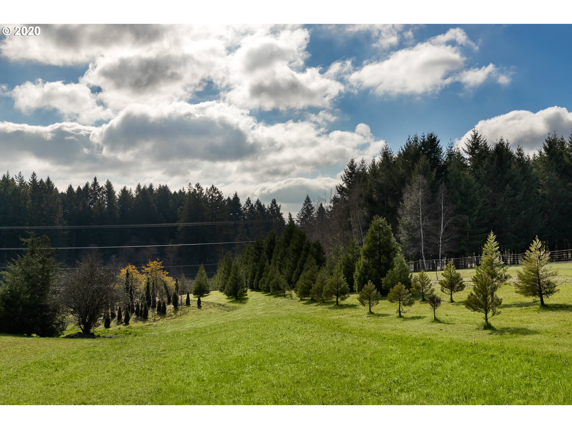 18833 South Henrici Road Oregon City, OR 97045 - Photo 31 of 32 Gallery Image 31
