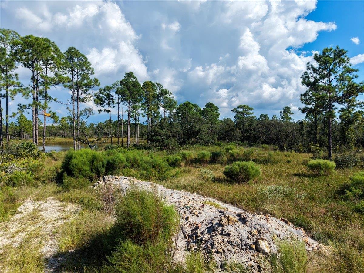 Xx Xx Oak Hill Road Perry, FL 32348 - Photo 29 of 31 Gallery Image 29