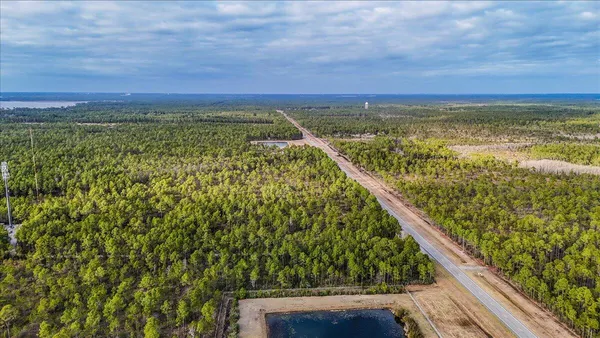 a view of a dry yard with trees