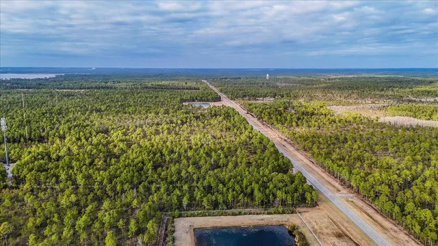 a view of a dry yard with trees
