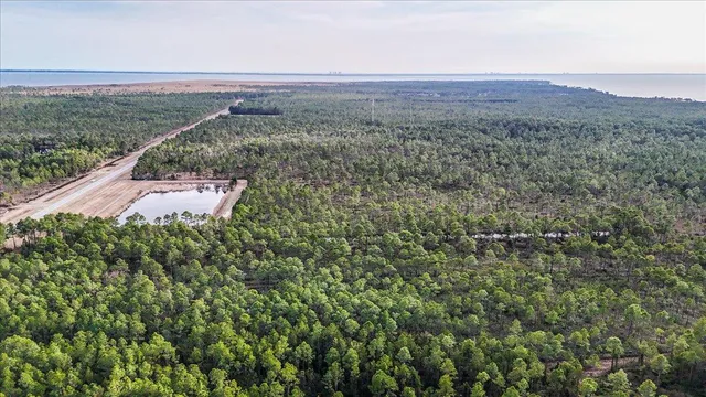 a view of a field with an ocean