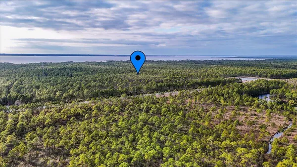 a view of a green field with lots of bushes