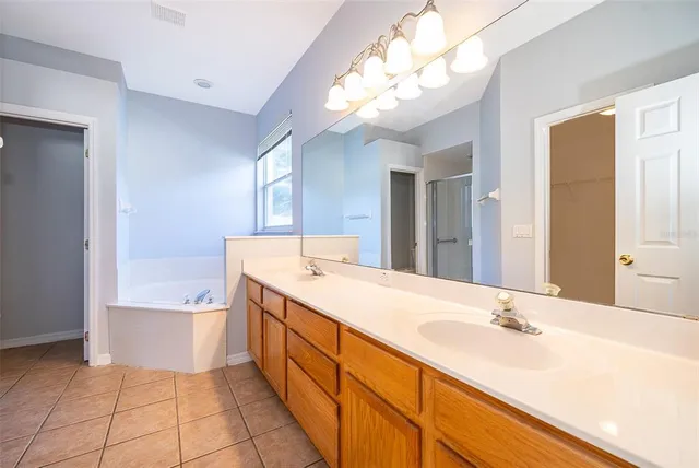 a bathroom with a sink a large mirror and a bathtub