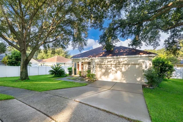 a view of a yard with plants and trees