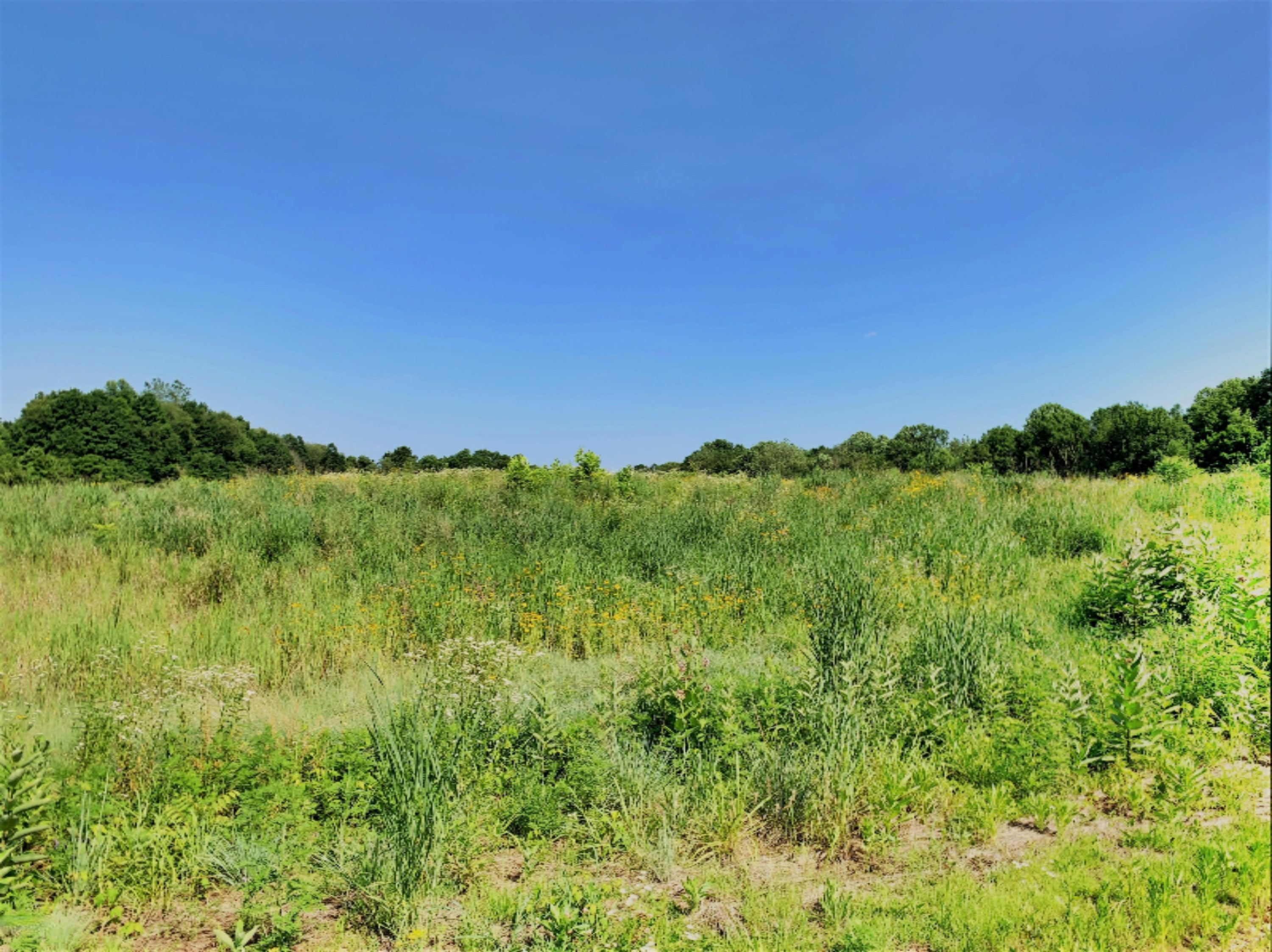 Abc Gardner Road Galien, MI 49113 - Photo 8 of 9 IMG_0679 (002)