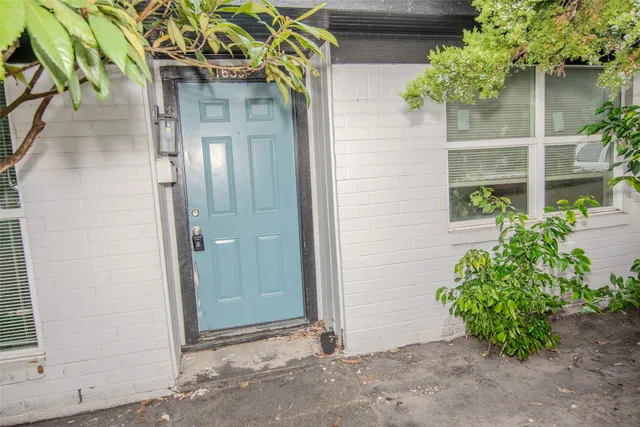 a potted plant in front of a door