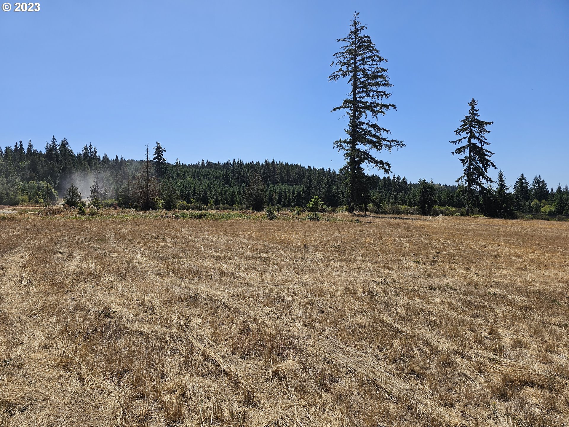 31324 Walton Road Colton, OR 97017 - Photo 1 of 1 a view of a lake with a mountain in the background