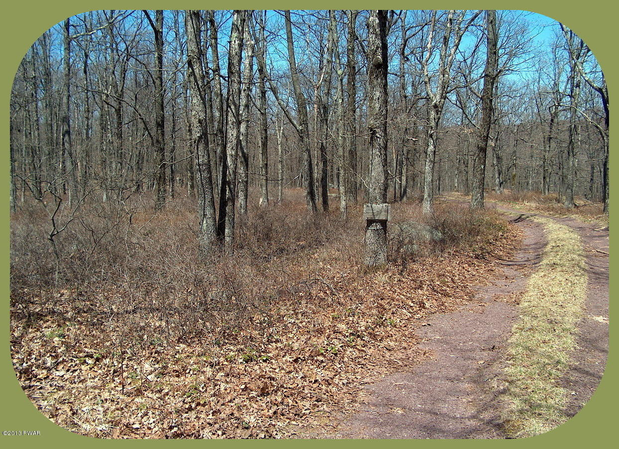 156 3 Legged Swamp Road Canadensis, PA 18325 - Photo 12 of 72