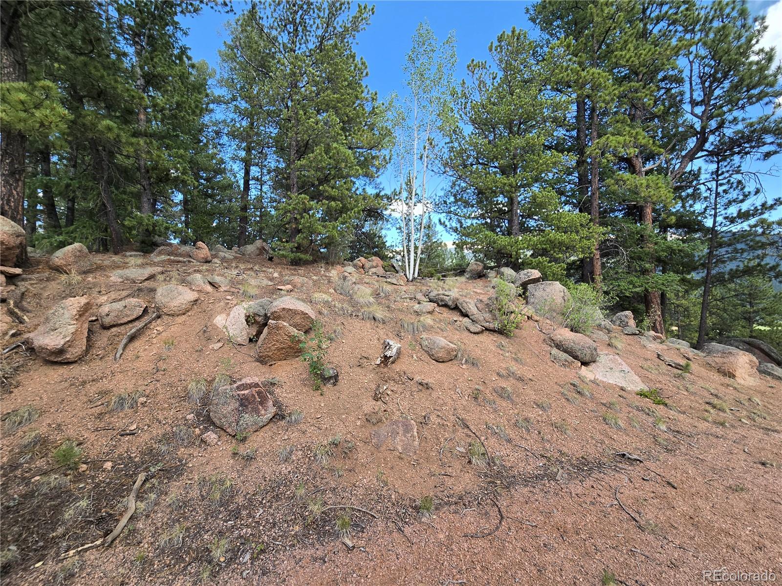 222 Blue Spruce Road Divide, CO 80814 - Photo 3 of 22 Gallery Image 3
