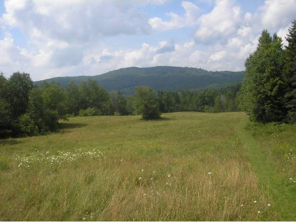 373 Toad Pond Road Morgan, VT 05853 - Photo 1 of 1