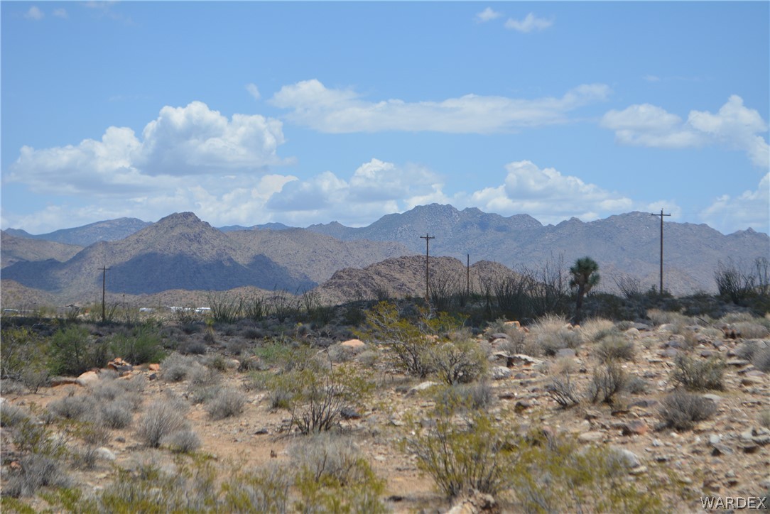 208-24-134 Cameron Road Yucca, AZ 86438 - Photo 42 of 86