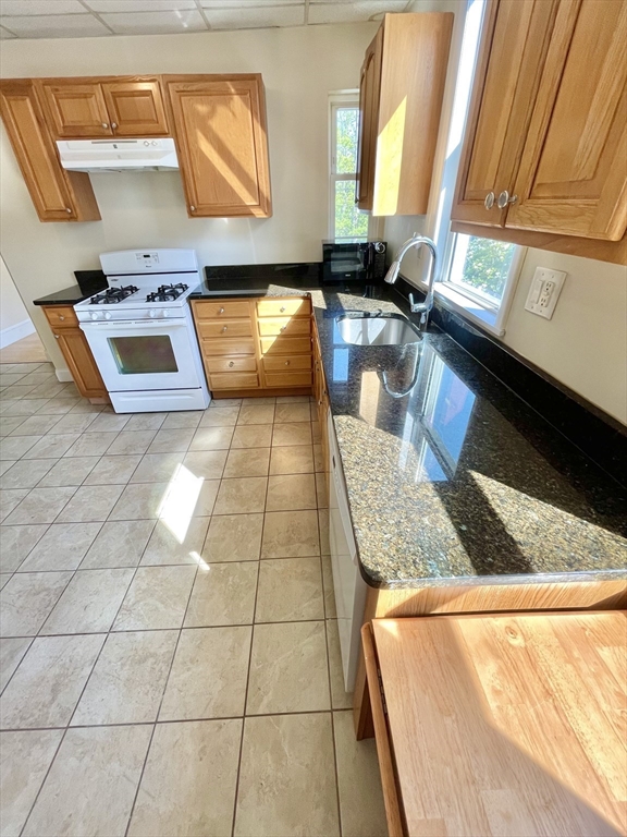 45 Chestnut Avenue, Unit 2 Boston, MA 02130 - Photo 2 of 20