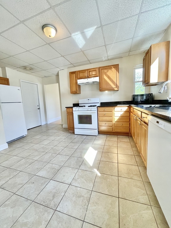 45 Chestnut Avenue, Unit 2 Boston, MA 02130 - Photo 3 of 20