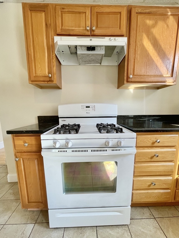 45 Chestnut Avenue, Unit 2 Boston, MA 02130 - Photo 4 of 20