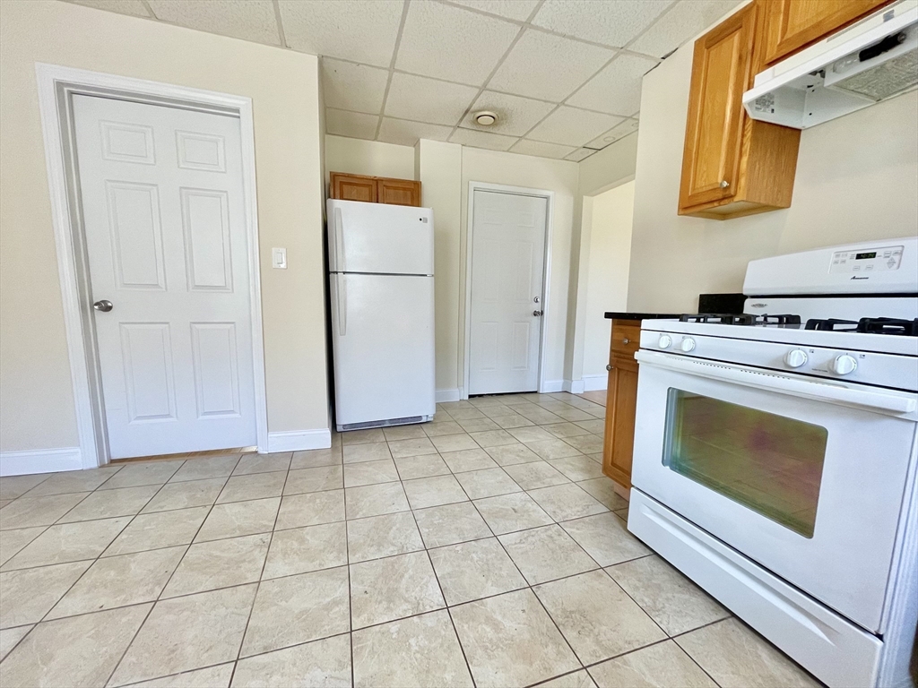 45 Chestnut Avenue, Unit 2 Boston, MA 02130 - Photo 5 of 20