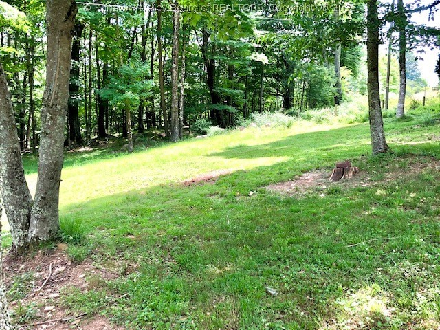 8062 Back Mountain Road Durbin, WV 26264 - Photo 43 of 50 Gallery Image 43