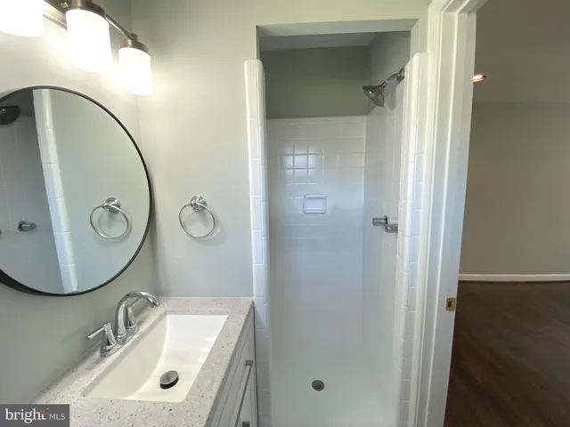a bathroom with a sink a mirror a vanity and shower