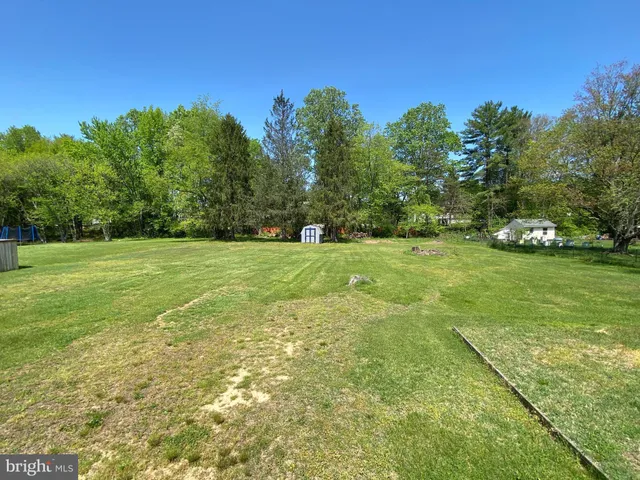 a view of a field with trees in the background