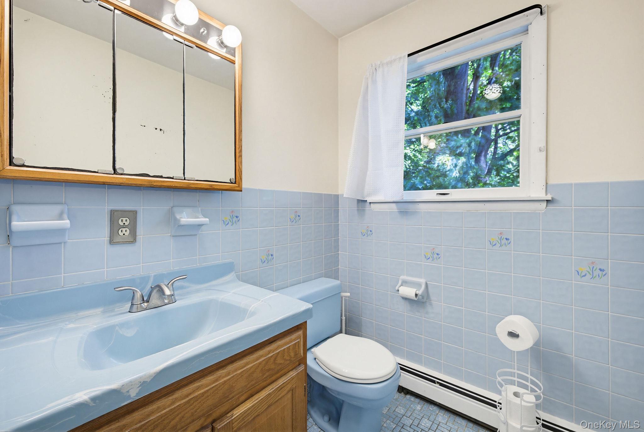 12 Bradhurst Road Carmel, NY 10512 - Photo 19 of 28 a bathroom with a sink a toilet and a window