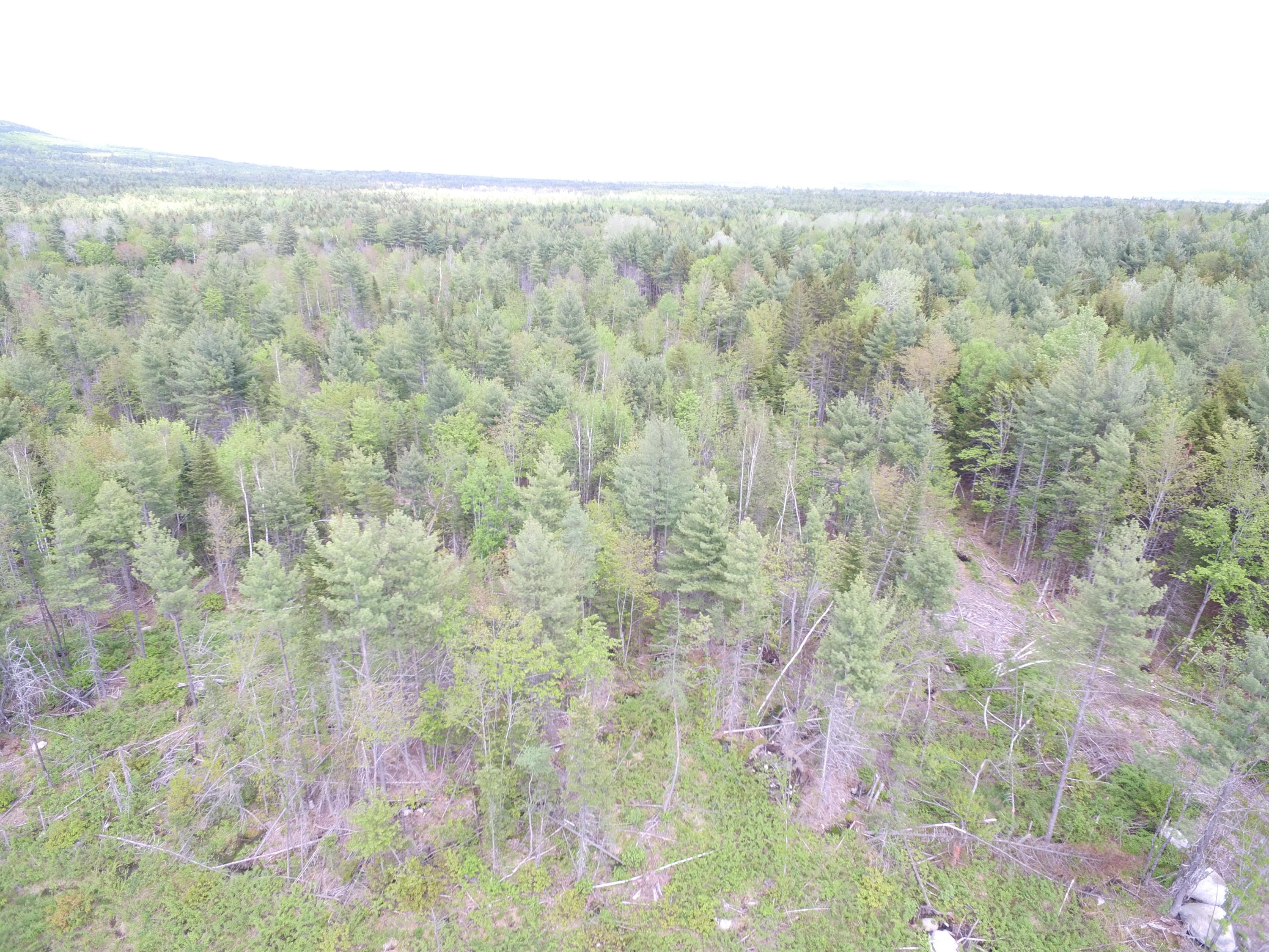 Tbd North Road Howland, ME 04448 - Photo 3 of 13 DJI_0019
