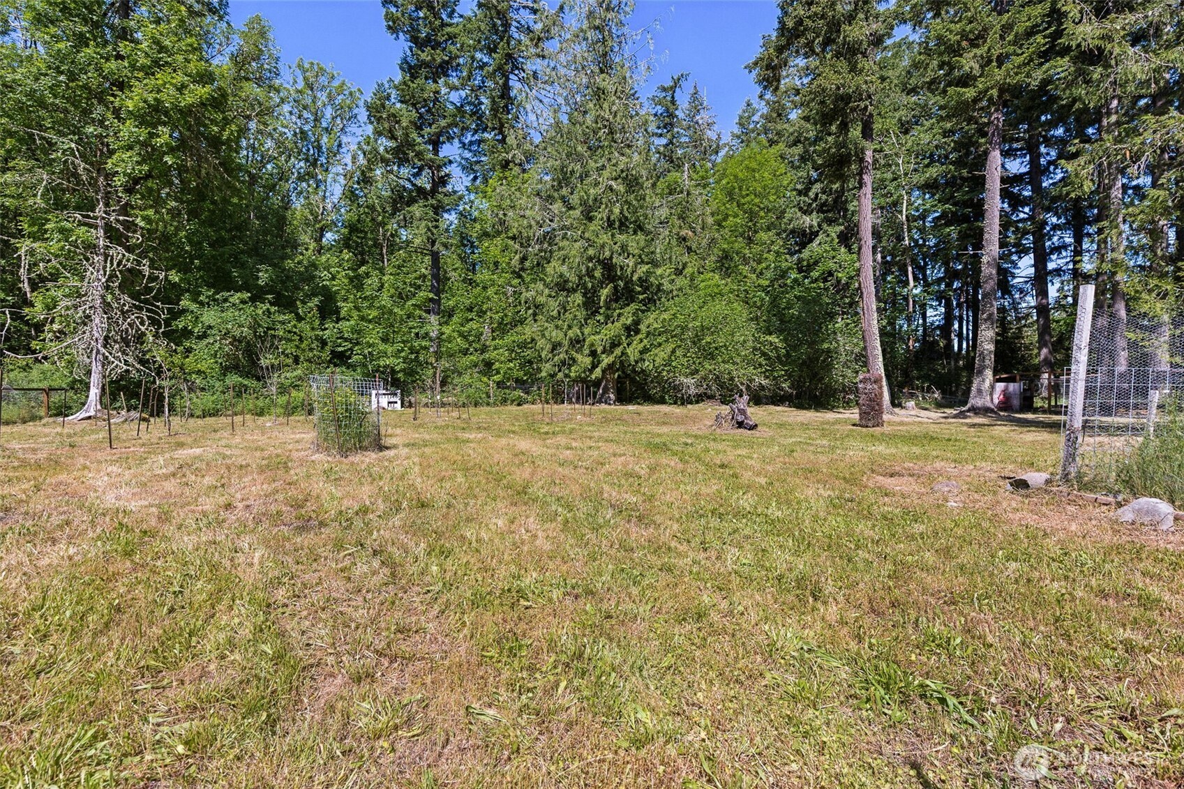 15711 Vail Cut Off Road Southeast Rainier, WA 98576 - Photo 28 of 33