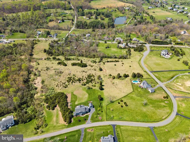 a view of a green field with lots of bushes