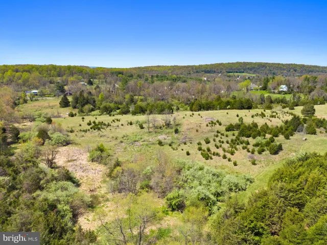 a view of a dry yard