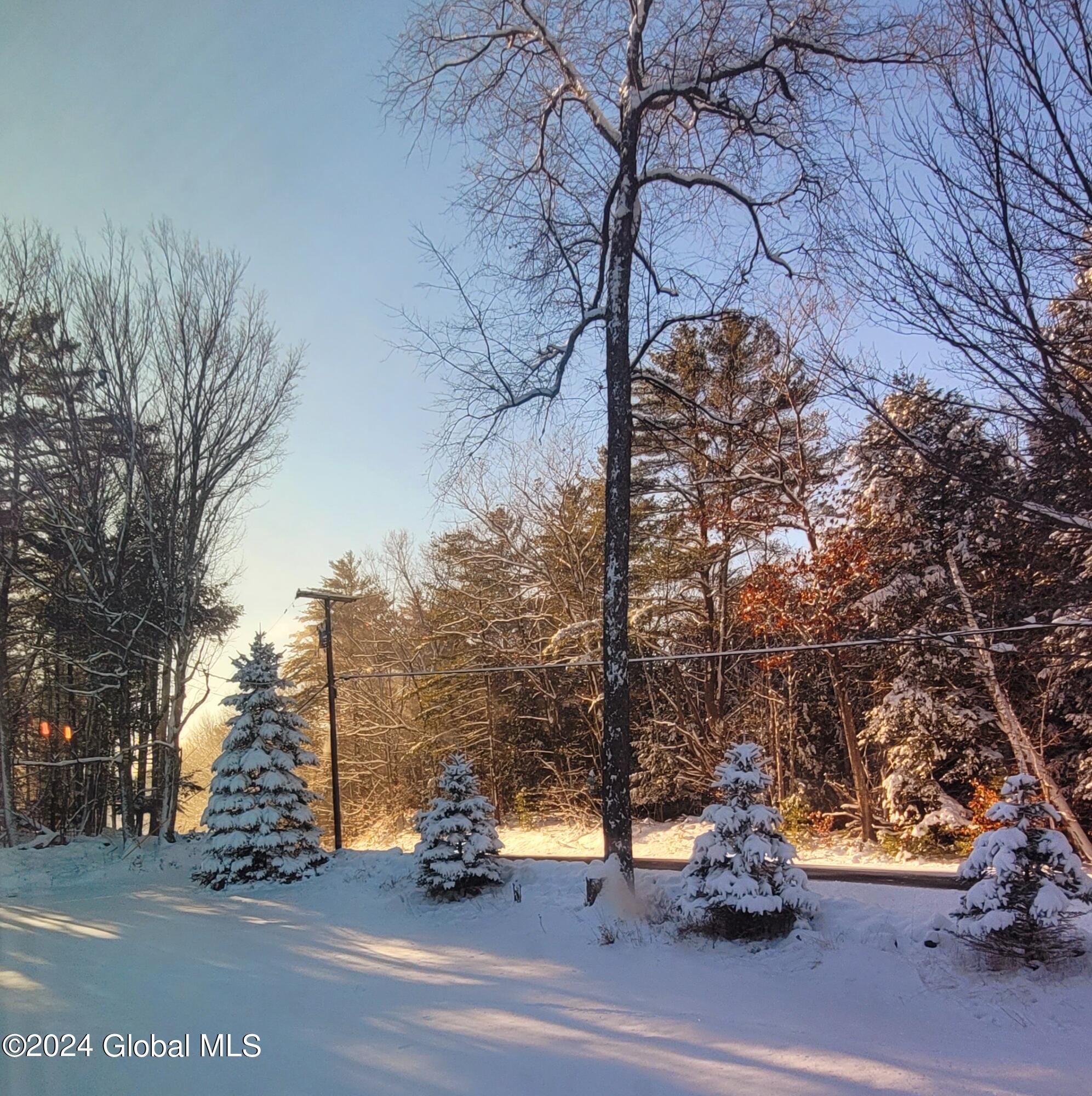 536 Garfield Road Stephentown, NY 12062 - Photo 52 of 61 20221212_142830