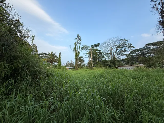 $45,000 | 41 Silversword Court, Pahoa, HI 96778