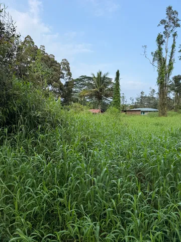 $45,000 | 41 Silversword Court, Pahoa, HI 96778