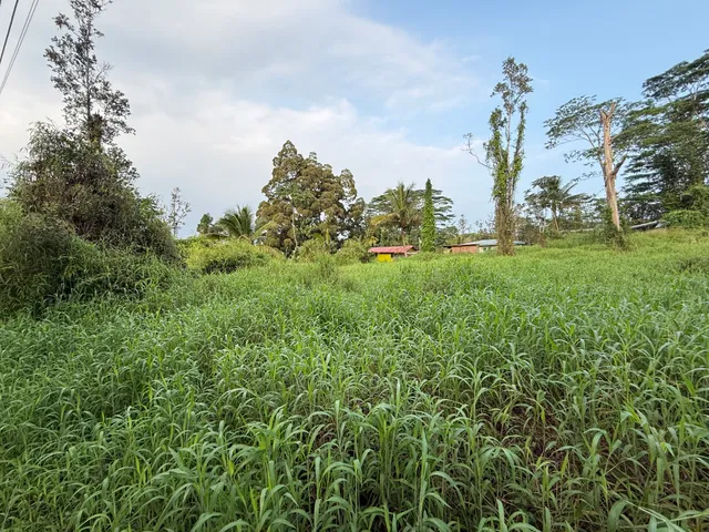 $45,000 | 41 Silversword Court, Pahoa, HI 96778