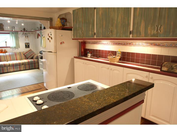 47 Reeder Road New Hope, PA 18938 - Photo 3 of 12 Gallery Image 3