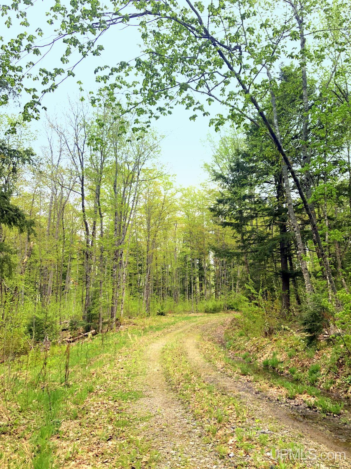 Tbd Tbd Northwestern/camp Road Ishpeming, MI 49849 - Photo 45 of 63