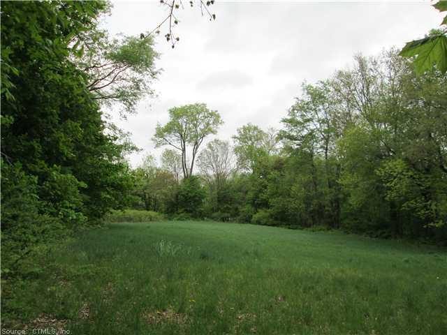 a view of a grassy field with trees in the background