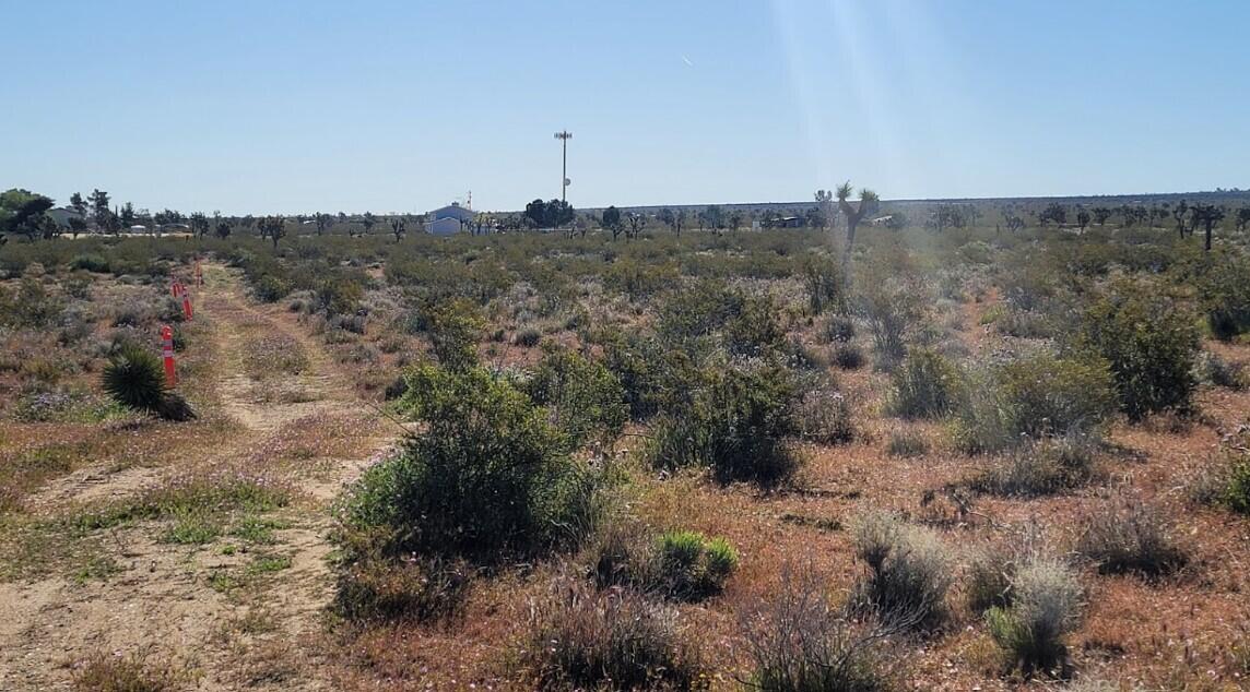 St Street East Llano, CA 93544 - Photo 2 of 4 a view of a dry field with lots of trees in the background